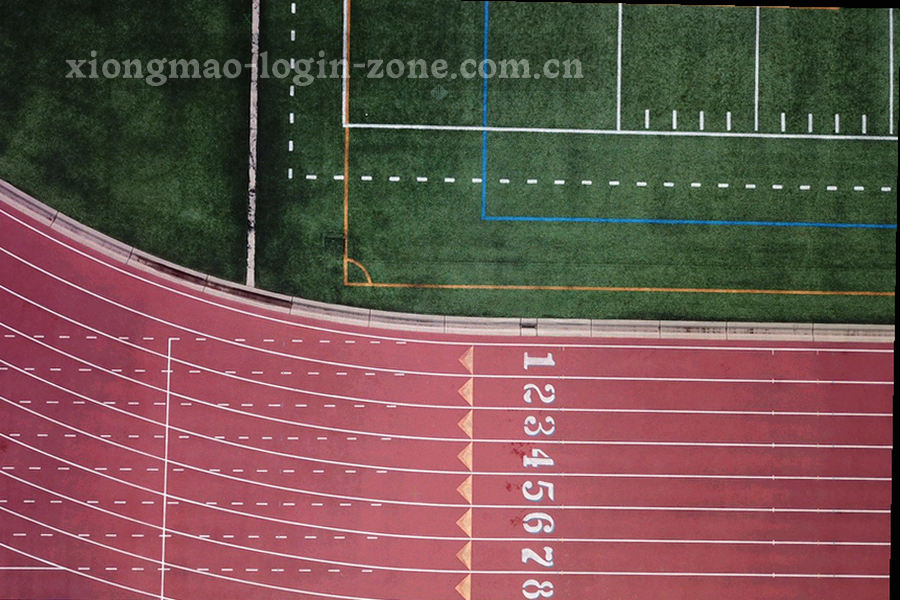 手机、平板、笔记本电脑与网页窗口并排的剪影，屏幕上显示同一份收藏清单
